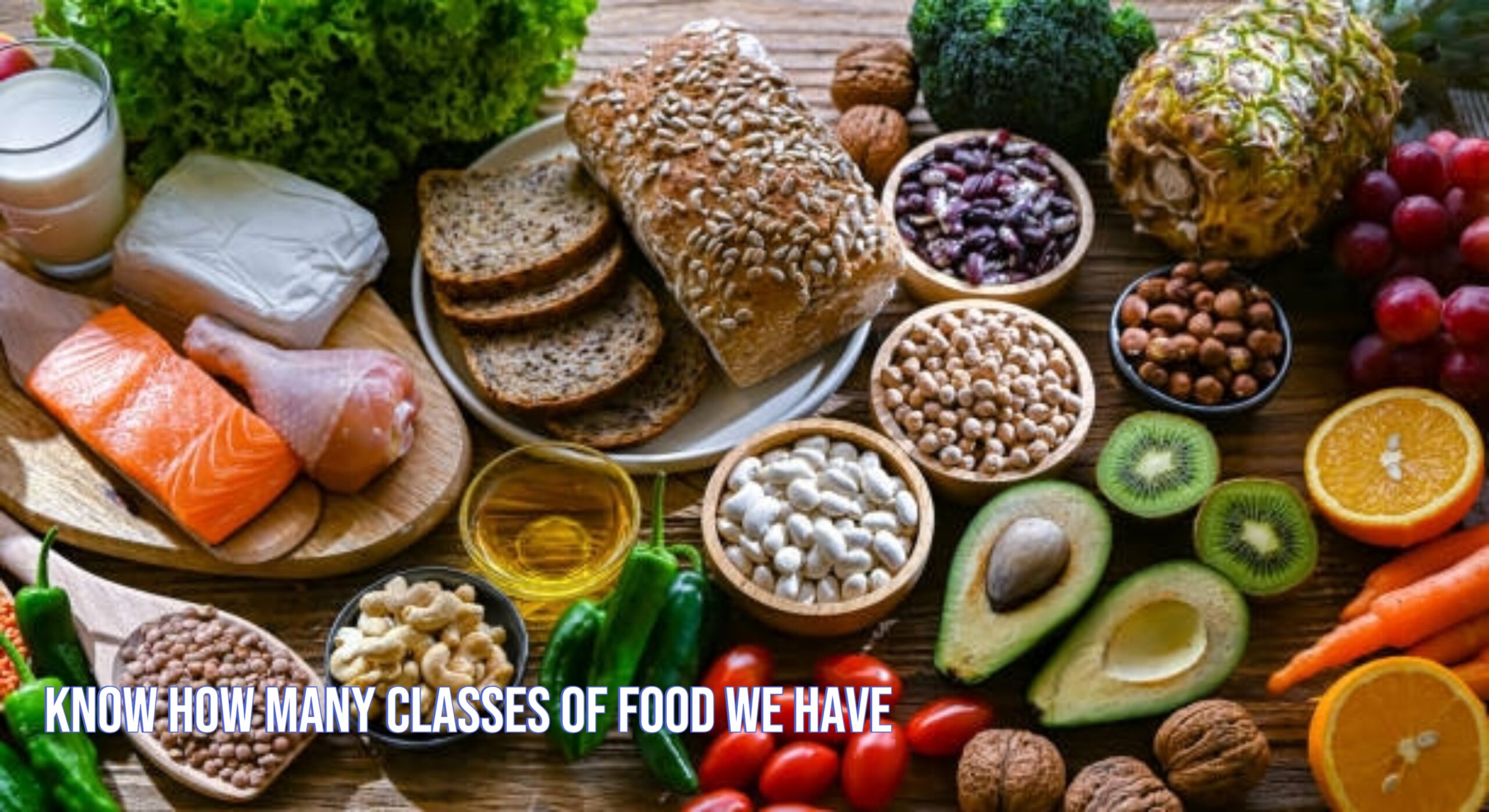 How Many Classes Of food do We Have